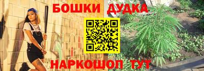 шишки Новозыбков