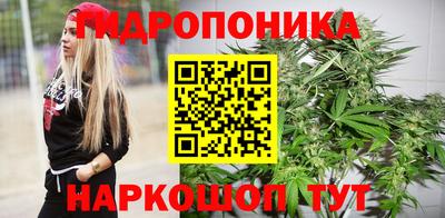 шишки Новозыбков