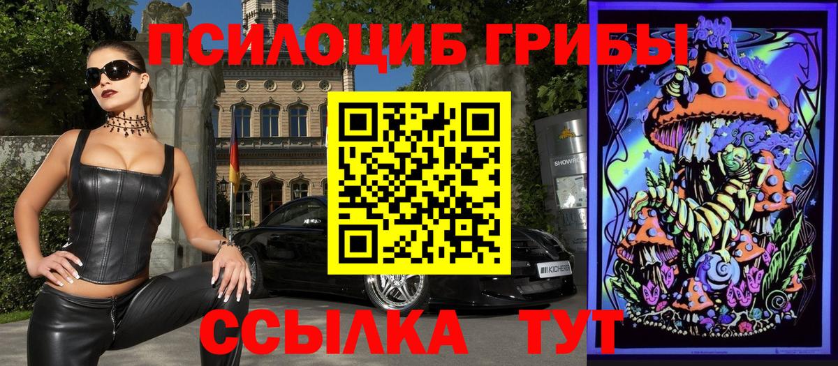 Светлоград  Псилоцибиновые грибы Cubensis  Вход с VPN 