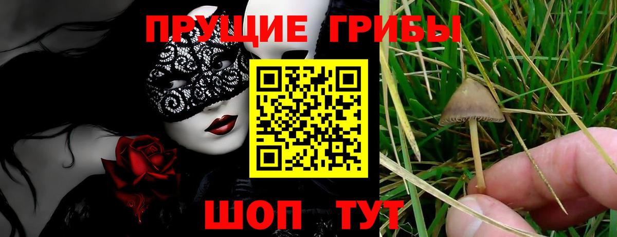Галлюциногенные грибы мицелий Светлоград