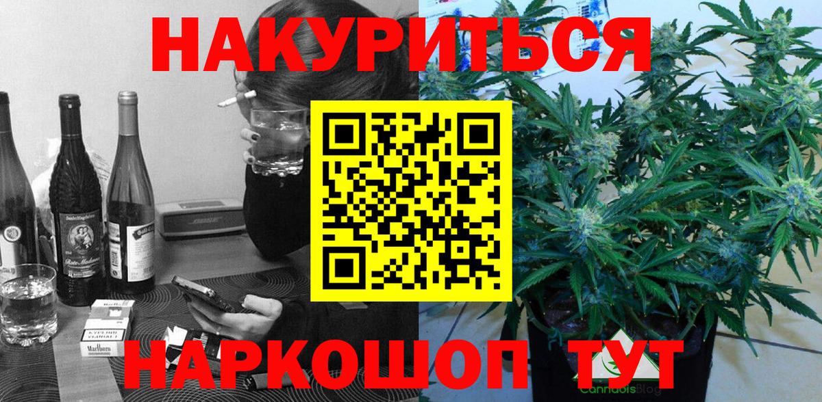 Канабис сатива Светлоград